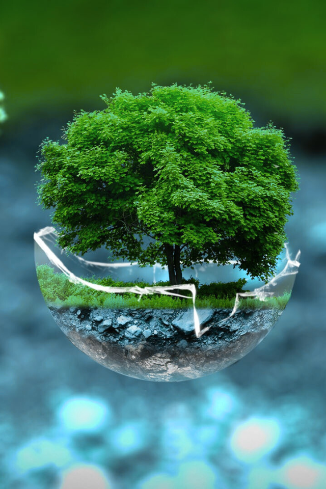 dr haus oekologischer innenausbau blau